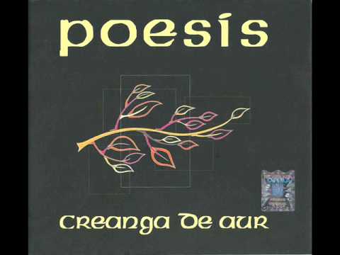 POESIS (Marius Batu si Eugen Baboi) - N-am sa va spun