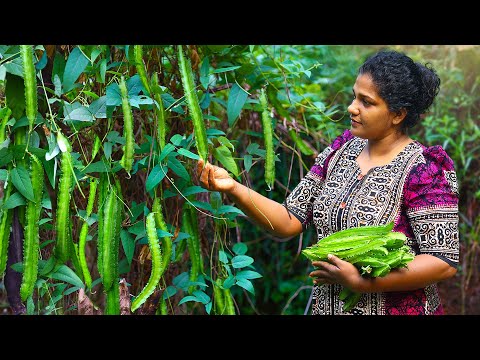 Simple and tasty winged bean recipes🥣special fruits cups and soup bowl full of treat for us
