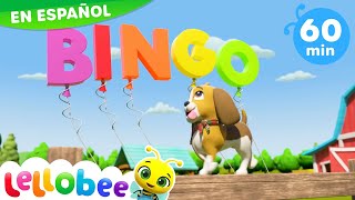 MIA y BINGO el Perrito | Canciones Infantiles |Lellobee Español