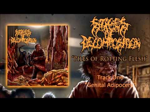 Stages Of Decomposition - Genital Adipocere