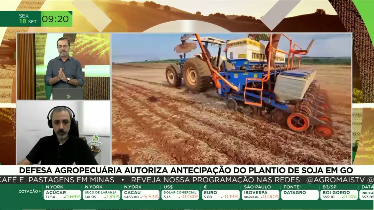 Soja: plantio em Goiás é antecipado para 20 de setembro