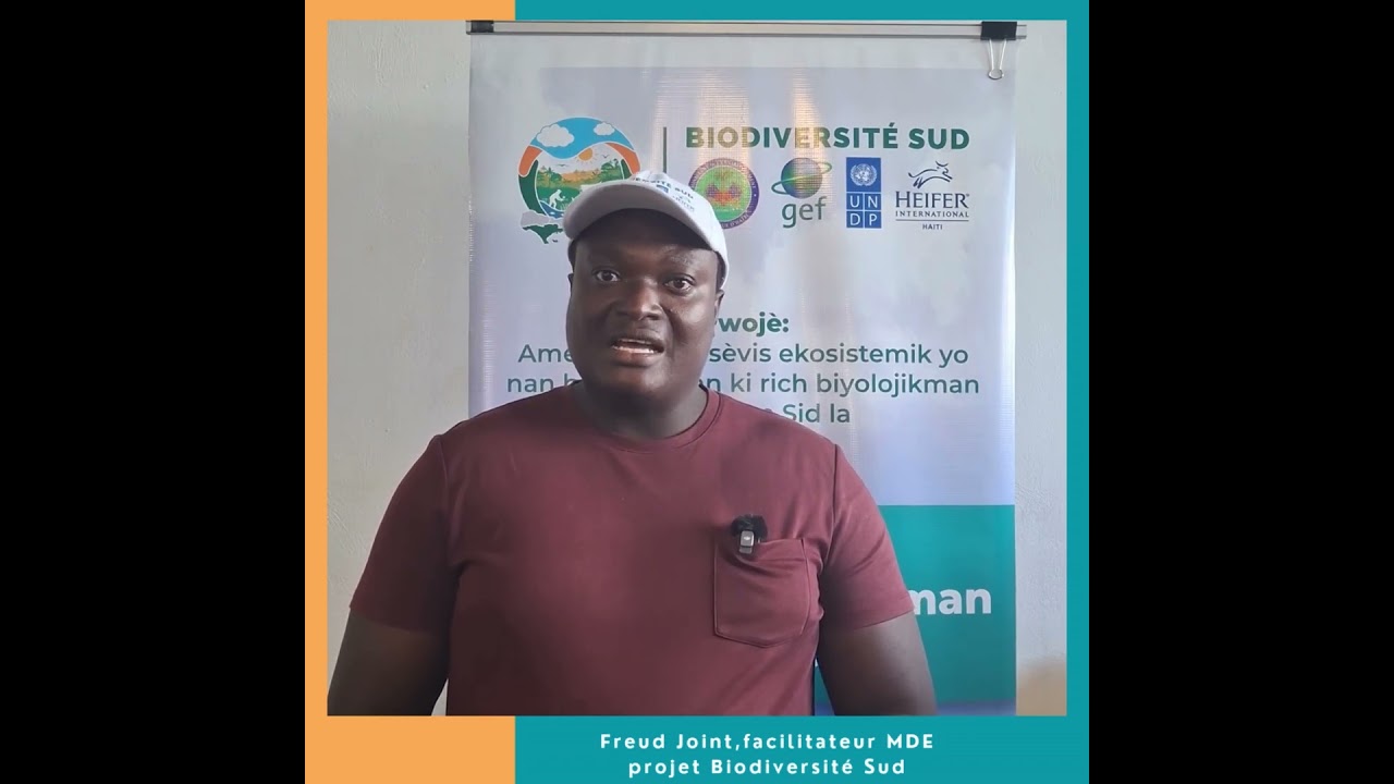 Un représentant du MdE à la formation_SIE-Haïti du 11 au 14 novembre 2024_projet Biodiversité Sud
