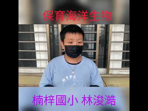 楠梓國小 麥塊SDGs聯合國永續發展目標 林O澔-麥塊SDGs程式競賽-111學年第一學期