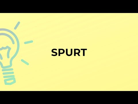 What is the meaning of the word SPURT?