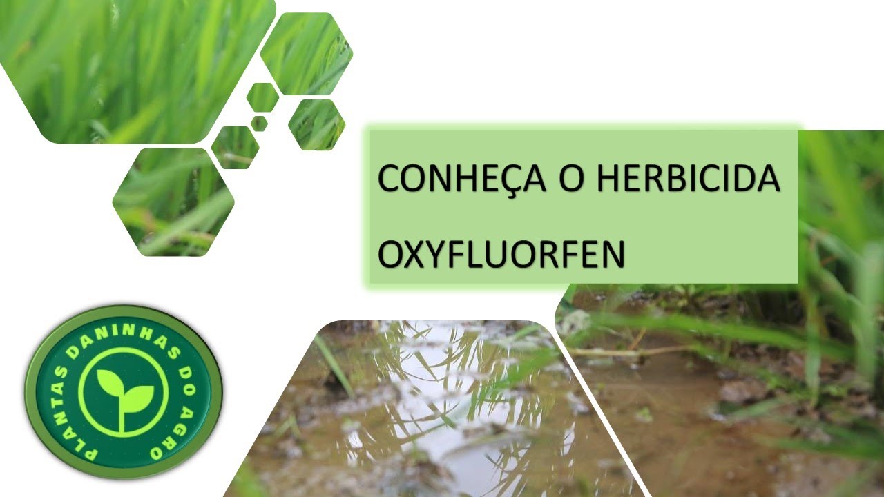 O INGREDIENTE ATIVO OXYFLUORFEN