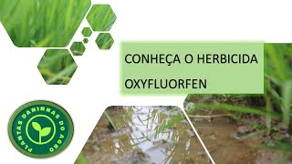 O INGREDIENTE ATIVO OXYFLUORFEN