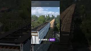 A Queda da Ponte: Uma Jornada de Coragem e Renascimento