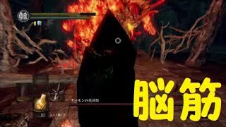 【ダクソ】パート１４「司祭の火力じゃねえ……」【ダークソウルリマスター】