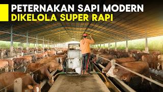 Download lagu DULU CUMA DARI MULUT KE MULUT, SEKARANG PUNYA 600 EKOR SAPI SIMENTAL & LIMOSIN! mp3