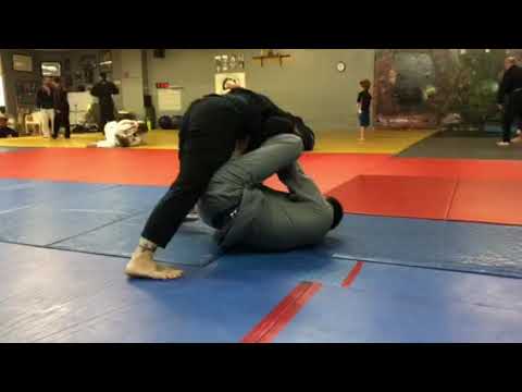 Paradoxo jiujitsu 11