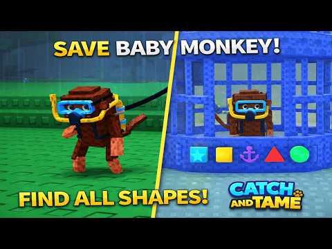 How To Find All Shapes To Save The Baby Monkey In Catch And Tame Roblox | Underwater Update