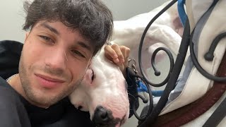 ΣΥΓΚΑΤΟΙΚΗΣΗ ΚΑΙ ΨΩΝΙΑ ΜΕ ΜΑΝΑ 🤯