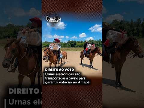 Urnas eletrônicas são transportadas a cavalo para garantir votação no Amapá