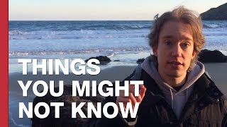 Why Doesn't Britain Have Rabies?