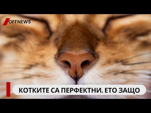 Любов и секс в Древен Рим: разходка сред изпаренията в термите — OFFNews