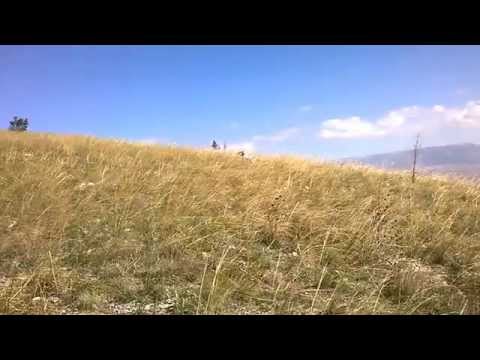 Setter Ditikis Makedonias