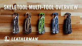 SKELETOOL