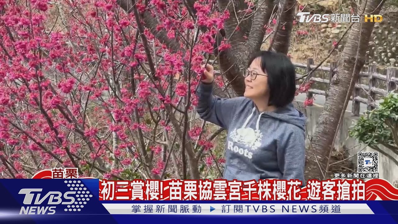 初三轉雨！高山有望降雪　開工「最低溫探9度」
