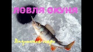 Рыбалка на ладожском озере ленинградская область