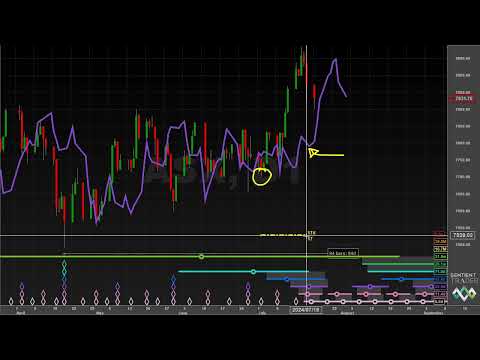 80-Day Cycle Troughs - Hurst Cycles Market Update - 22 July 2024