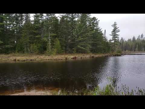 Sandbank Stream