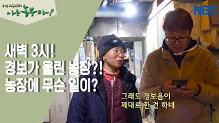 [딸기 부부의 금쪽같은 내 딸기] 새벽 3시! 농장 비상 상황?!