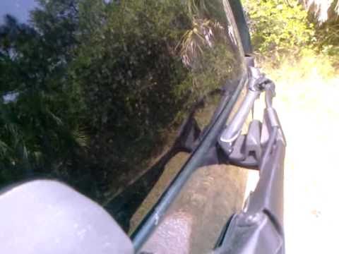 Teki latex-dinosaurs with guns (showin some flex)