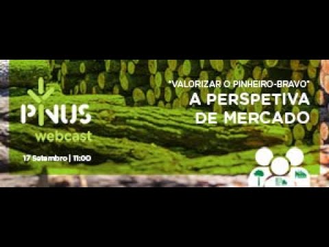 PINUS Webcast “Valorizar o pinheiro-bravo” – a perspetiva de mercado”