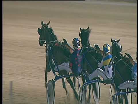 Trotto 12/08/2017 - 4ª corsa