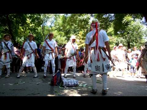 Vrajitoarea - Alaiul Calusului Oltenesc