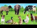 Cute Animals And Pets Cow Dog Sheep Cat Chicken Duck Elephant Horse Cute Pet Sounds