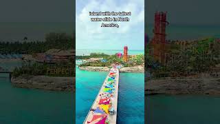 Here's what Royal Caribbean does BETTER than any other cruise line! #cruise #shorts