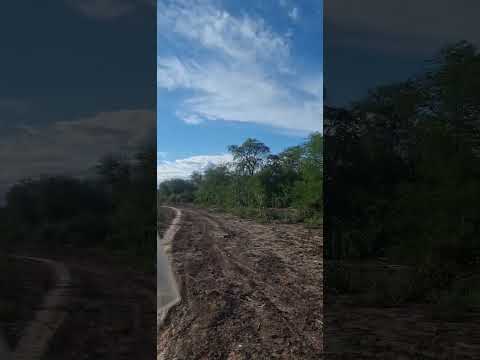 Camino rural en Rivadavia, Salta 🇦🇷