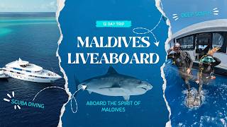Maldives Liveaboard: Deep South to Central Atolls