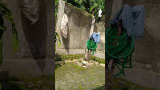 Download lagu cara unik menangkap burung Kaka tua jambul kuning yg lepas dari kandangnya mp3 Download lagu cara unik menangkap burung Kaka tua jambul kuning yg lepas dari kandangnya mp3