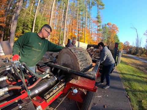 Timberwolf Alpha 6 box wedge (test)