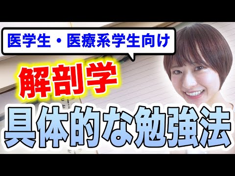 医学科 【解剖学】解剖学の具体的な勉強方法について（医療系学生向け）