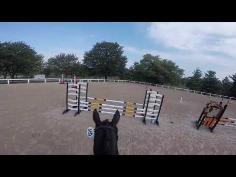 Helmet Cam: Reloaded (2018 RRP Thoroughbred Makeover - Show Jumping)