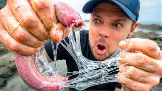 ריר! מקרוב עם היצורים הרזים ביותר על פני כדור הארץ!