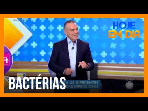 Você e o Doutor: conheça doenças causadas por bactérias