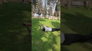 פארק רופין בירושלים + מזרקות לילדים מיוחדות במינם שלא נרטבים מהם. + משטחי דשא ירוקים ומתקנים חדשים.