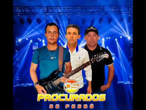 OS PROCURADOS DO FORRÓ - COMITIVAS 