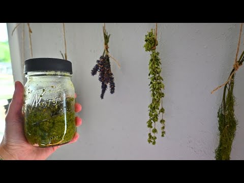 🌿 HOMEMADE PESTO from Garden-Grown Basil | Nut-Free Pesto Recipe (No Pine Nuts!) 🌿