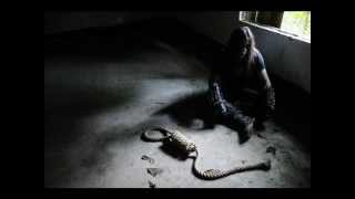 Drowned in illusion-Depressed Anger