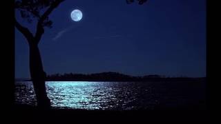 Can&#39;t Take My Eyes Off You - Barry Manilow