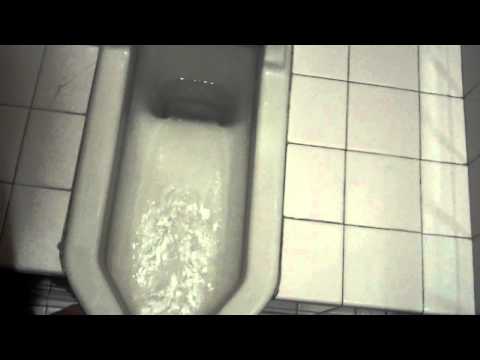 4087: Toto Squat Toilet Sorta Flushing