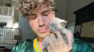 This Is the WORST Part of Fostering…