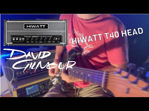 THE HIWATT T40 - Review for David Gilmour and Pink Floyd sound