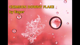 Crimson Downy Flake