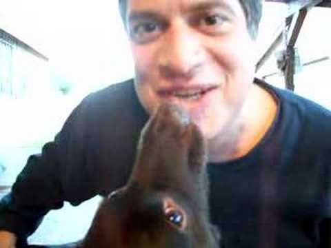 Licky Mickey and Steven Pearl perform Frankenstein.